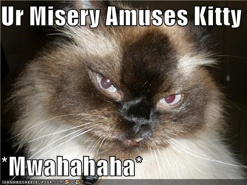 miserykitty