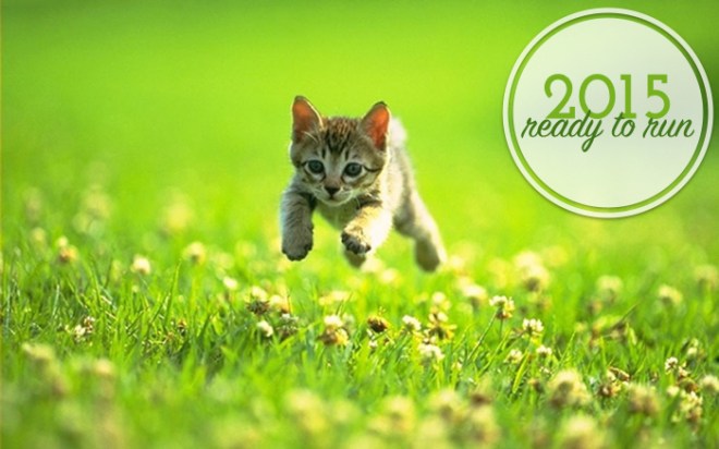 2015_cat_readytorun.jpg.002.jpg.001