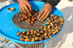 street food – roasted chestnuts